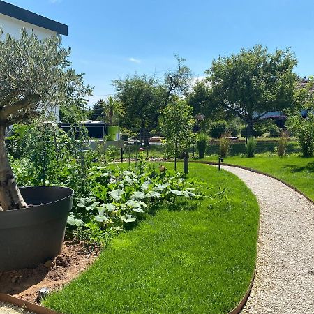 Le Clos Des Pommiers Fuji Uffholtz Luaran gambar